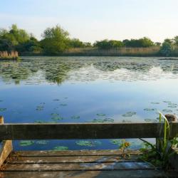 Lily Pond Pit, Ely 