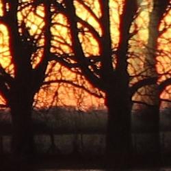 Sunset over flooded river Rhee in Harston.
