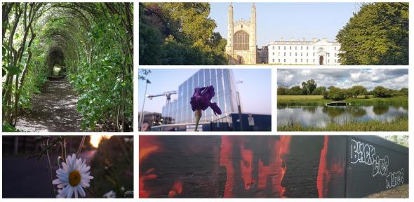 Open call for your best lockdown photos! Open call for your best lockdown photos