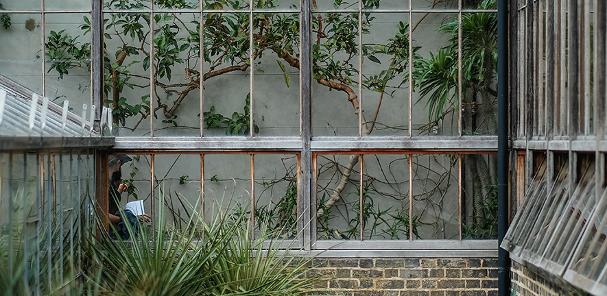 Cambridge University Botanic Gardens glasshouses